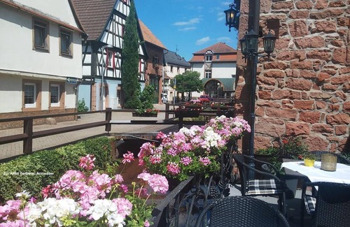 Annweiler am Trifels Apartment | Vacation in Annweiler - 4-bed apartment