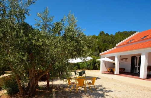 Vila Nogueira de Azeitao Villa | Vale do Pereiro - Arrábida Natural Park - Azeitao - 10 minutes from the beaches