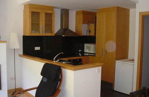Alt Aneu Apartment | Valencia de Aneu TP