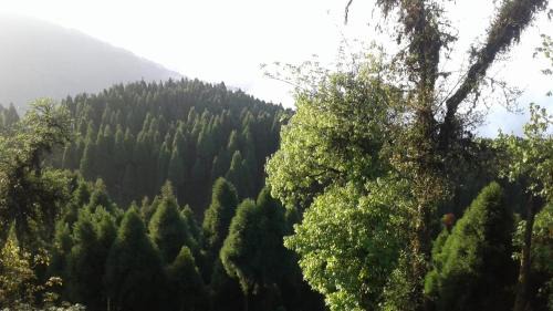 Ghoom House | Vamoose Heema Homestay