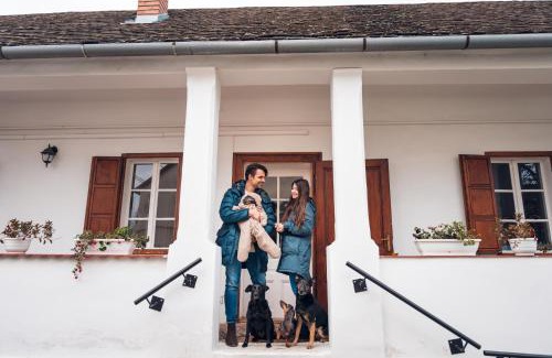 Villany Villa | VB36 Vendégház