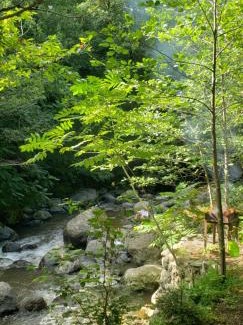 Khelvachauri House | Venera's Guest House