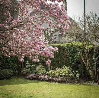 Annecy House | Venez Chez Vous - Villa Magnolia