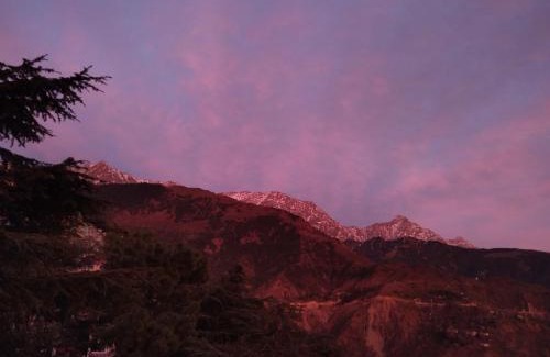 Dharamshala House | Verma Guest House