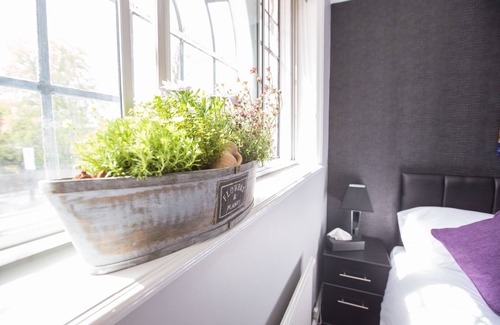 Bedford Hotel | Verve Hotel