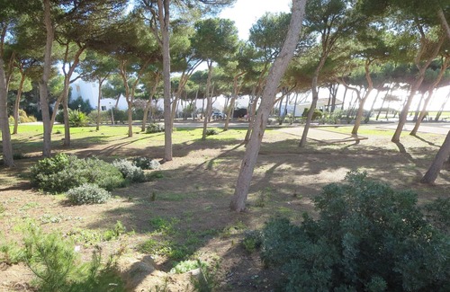 Conil de la Frontera City Center Apartment | Very nice comfortable apartment near Fontanilla beach at Atalaya Park