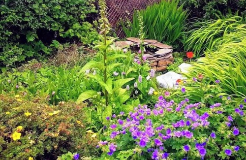 Scalloway Cottage | Viewcliff: Modern cottage, idyllic location. Secluded, with harbour views (Pets)