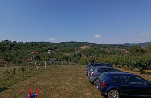 Vrdnik House | Vikendica Bambi - Vrdnik