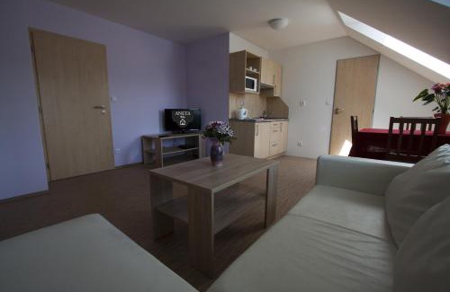 Luhacovice House | Vila Aneta
