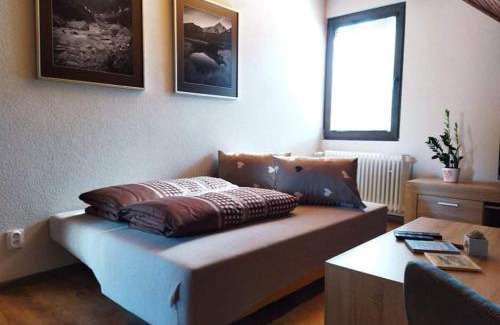 Tatranska Javorina Villa | Vila Devana