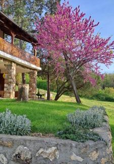 Sremski Karlovci Villa | Vila Felicita