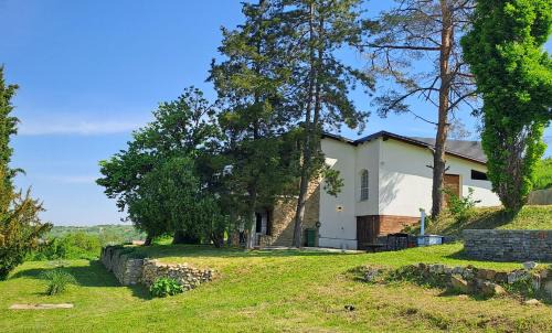 Sremski Karlovci Villa | Vila Felicita
