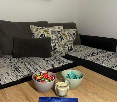 Petrovaradin Villa | Vila Fruškogorski Mir