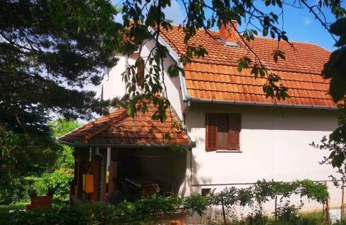 Petrovaradin Villa | Vila Gorocvet