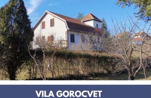 Petrovaradin Villa | Vila Gorocvet
