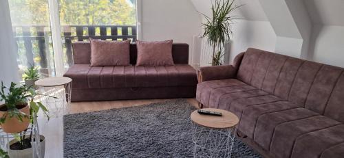 Vrdnik House | Vila Jovana