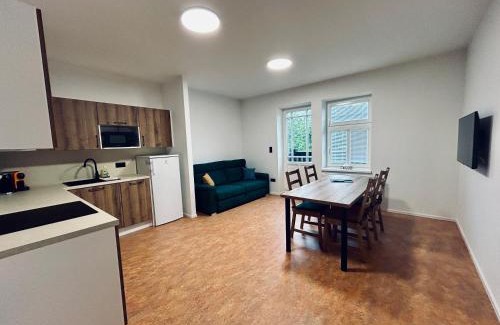 Karlova Studanka Apartment | Vila Silva Karlova Studánka