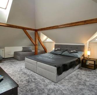 Cesky Krumlov House | Vila Vyšehrad