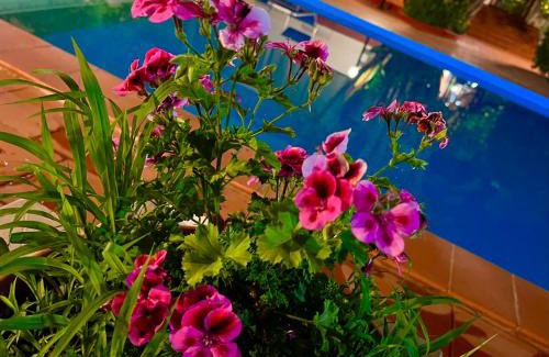 Sciacca Villa | Villa Aladin