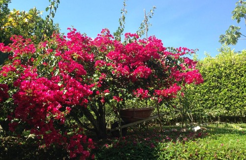 Montenegro House | Villa Alejandra