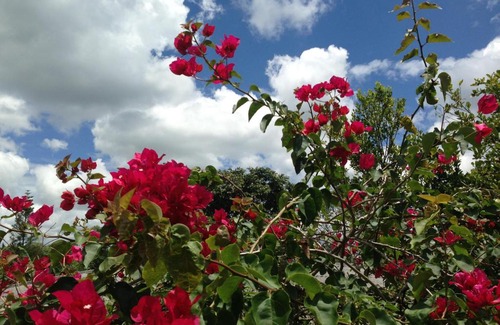 Montenegro House | Villa Alejandra