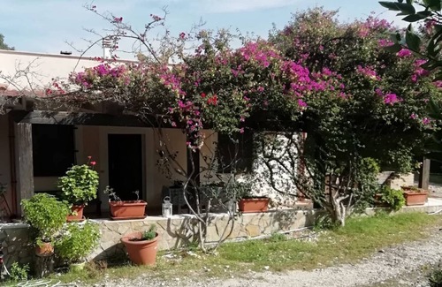 Rodi Garganico Villa | Villa degli Ulivi - Gargano National ParkFree Wi-Fi Internet