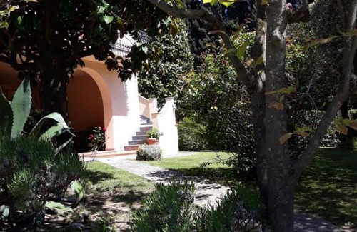 Massarosa House | Villa Emma i lecci