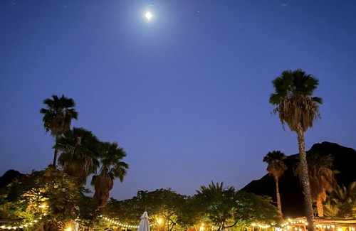 Los Palmitos Villa | Villa/Rural house with piscine/South of Gran Canaria - Ayagaures