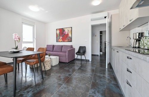 Zrce Villa | Villa for 20 with Private Pool
