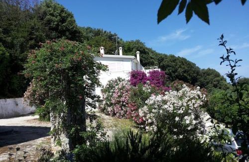 Rodi Garganico House | Villa Giulia - Apartment in Villa with sea view