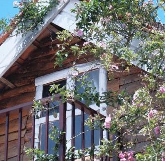 Da Lat House | Villa Hoa Như - View Nhà Lồng
