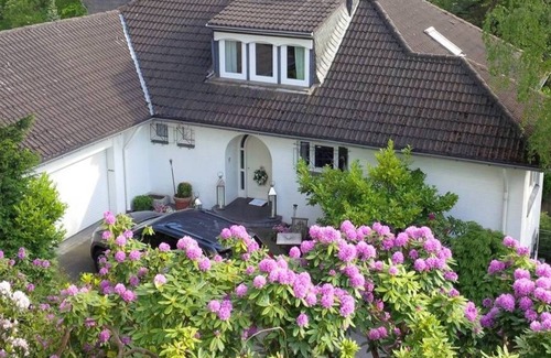 Aachen House | Villa Hydrangea in Aachen welcomes you!