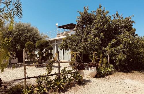 Avola Villa | Villa Il Carrubo val di noto con piscina privata