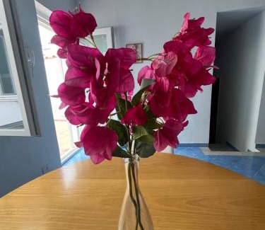 Marina Piccola Apartment | Villa Il Sorriso Capri centro