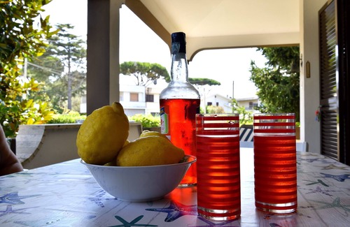 Lavinio Lido di Enea Villa | villa immersa nel verdo
