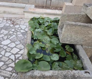 Ruffano House | Villa Mirella
