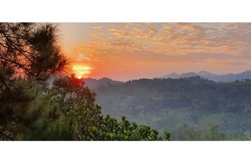 Pancawati Villa | Villa Muja