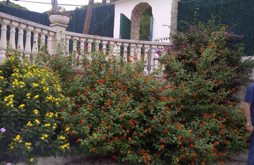 Pals House | Villa on the beach in Pals-Begur with barbecue and private pool