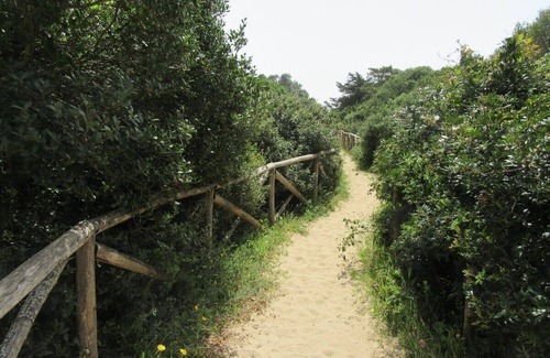 Punta Prosciutto Villa | Villa Punta Prosciutto