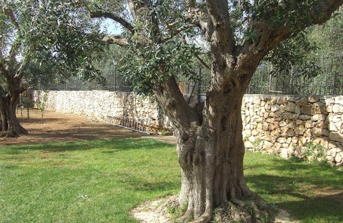 Sannicola Villa | Villa Reale Masseria la Maestà