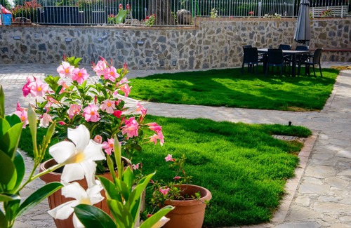 Pisciotta Villa | Villa Rosa Cilento Quadruple Pearl