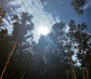 Solferino Villa | Villa San Andres The Unique Private Jungle Villa