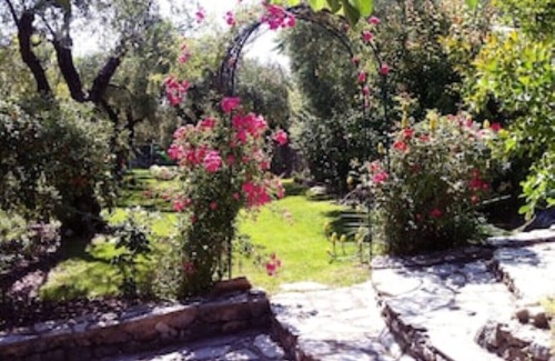 Chateauneuf-Grasse Villa | Villa & Spa Mas des Oliviers: Heated swimming pool, Jacuzzi, Sauna, steam room