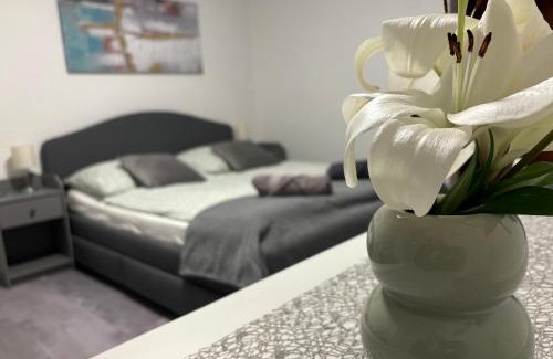 Buk Apartment | Villa Tara Bük