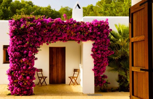Sant Rafael de Sa Creu Villa | Villa Tegui is just a 15 min drive to Ibiza Town