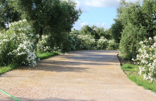 Arcos de la Frontera Cottage | Villa with free wifi and 2 swimming pools: outdoor and indoor in Arcos de la Frontera