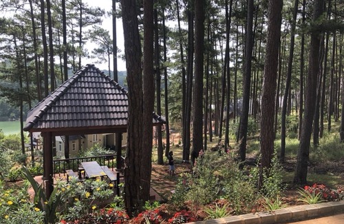 Da Lat Villa | Villa with lakeview and surrounded pine trees - 15 minutes to downtown Dalat!