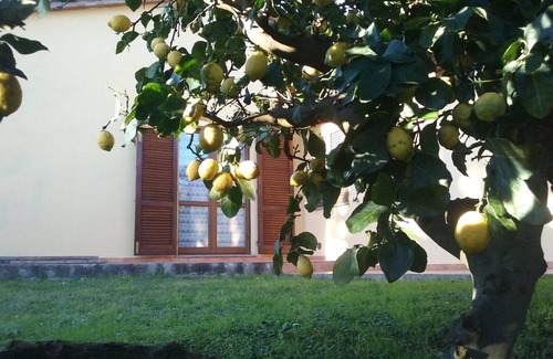 Donoratico Villa | Villa with large garden 2 km. from the sea