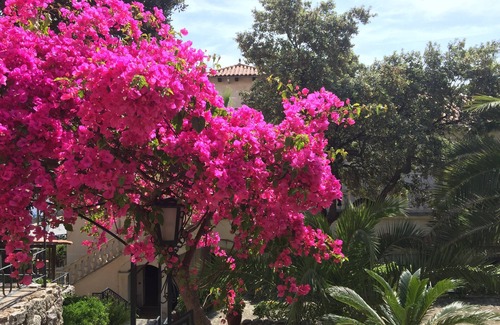Son Armadams Villa | Villa with pool and garden in the center of Palma