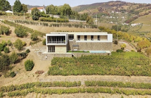 Baiao Villa | Villa with pool in the Douro Valley